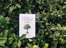 Vivir la vejez