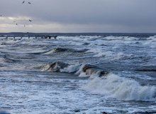 La marea