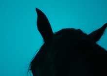 Don Quijote con fondo bíblico: burlas en Barcelona