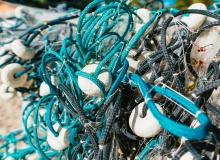 En tu Palabra echaré la red