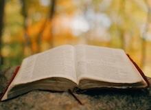 Venciendo la sombra (VI): Experiencias cercanas a la muerte bajo la lupa