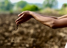 Del Karma a la gracia