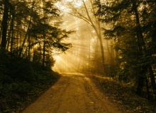 Decreto eterno ¿Abismo o sendero?