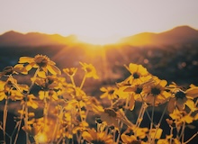 Venciendo la sombra (VII): Vivir sin miedo cuando la muerte toca a la puerta