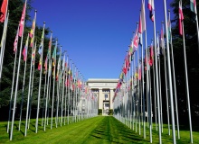 No podemos desfallecer en la defensa de los derechos humanos