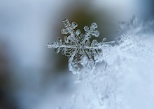 En esto consiste el amor