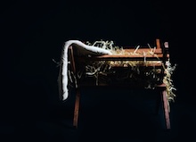 La noticia de la Navidad