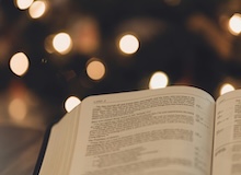 ¿Era “progresista” la ideología de María virgen?