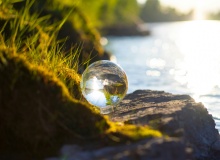 Traicionar la Creación