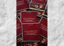 Poesía del año que se fue: recuento personal