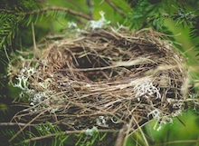 Don Quijote con fondo bíblico: Alonso Quijano