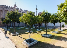 ¿Reformar la iglesia? ¿Qué iglesia?