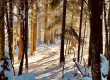 ¡Cuán grande es mi dicha!