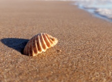 Naufragios chiquitos