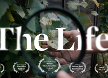 ‘The Life’: El evangelio en cinco minutos, sin palabras