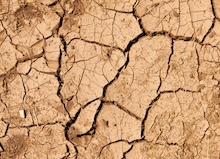 La desertificación de la vida