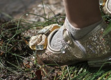 Los zapatos de los domingos