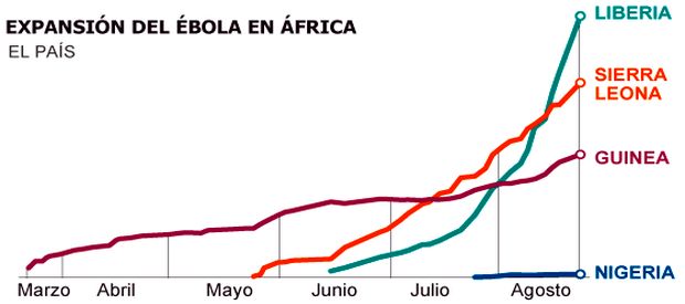 La actual epidemia de ébola, causada por un solo murciélago