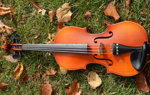 violín