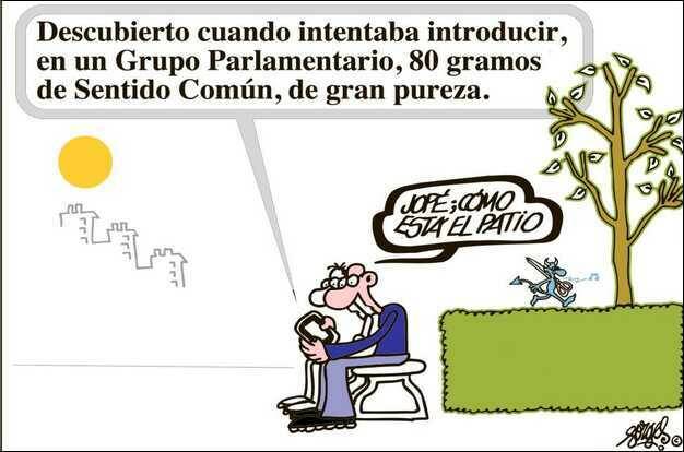 política, humor, forges