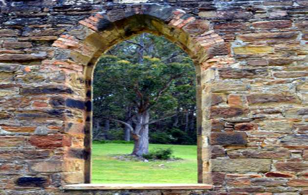 ventana iglesia, árbol