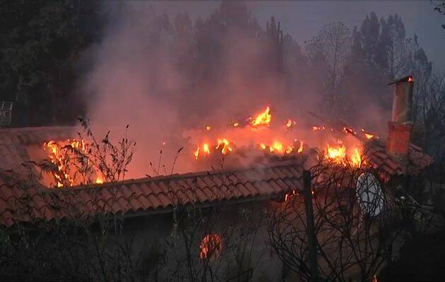 El último dato oficial apunta a unas 5.000 hectáreas calcinadas /EFE,