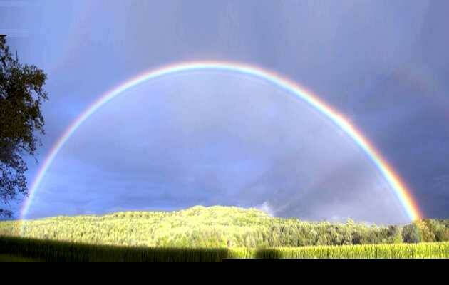 arco iris