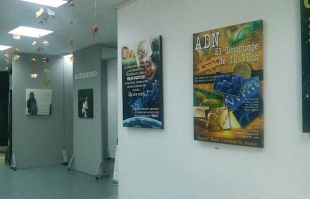 Exposición de Aesvida.,