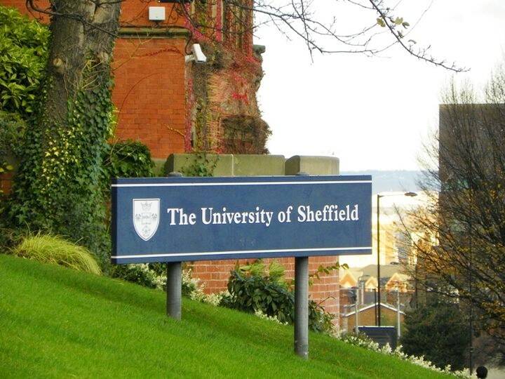 sheffield, ngore, student, estudiante, 