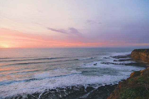 rock, sea, life