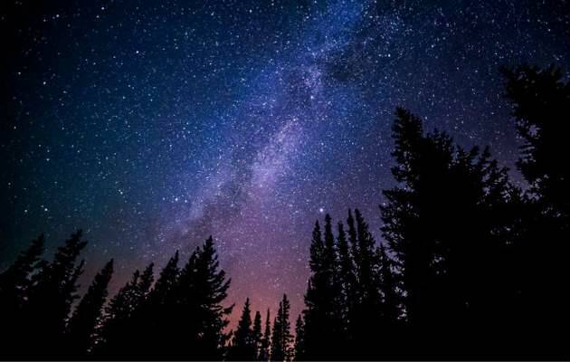 estrellas galaxias, universo bosque