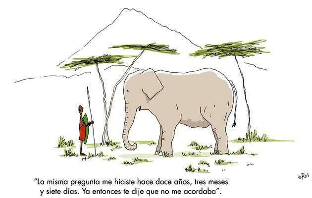 memoria elefante, humor viñeta