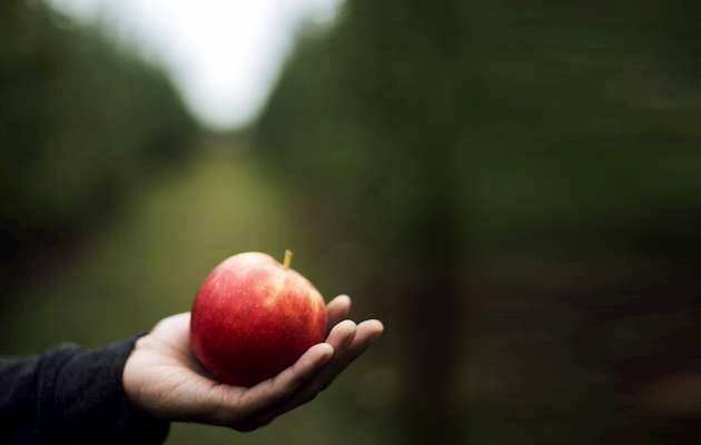 Manzana, Mujer