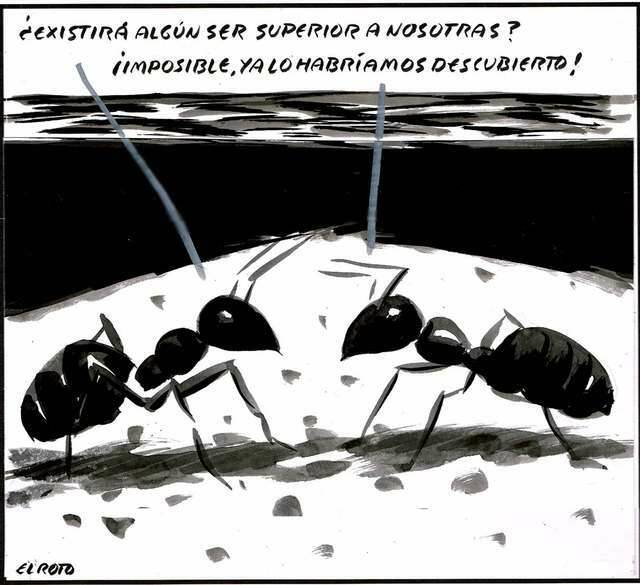 humor hormigas, humor Dios