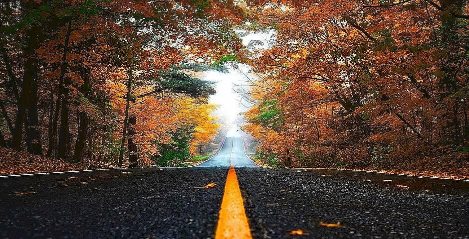 camino de otoño