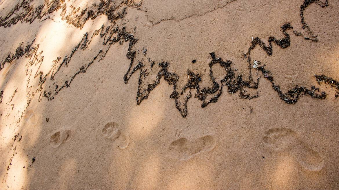 barro playa, cieno arena